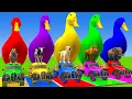 Download Lagu Long Slide Game With Cow Elephant Gorilla Hippopotamus Tiger 3d Animal Game Funny 3d Animals