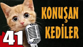 Konuşan Kediler 41 - En Komik Kedi Videoları