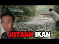 Lagu Ribuan Ikan Lewat Depan Camp Kami Saat Bermalam Di Hutan Rimba Belantara