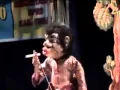 Download Lagu Wayang Lucu - Udud dulu!! (Bahasa Jawa)