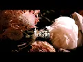 Download Lagu SARRY / サディスティックカルマ  [ Official Music Video ]