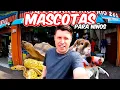 En busqueda de las MASCOTAS mas POPULARES parra los ninos en el mercado de los PECES