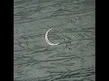 바람이 분다