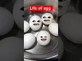 Lagu life of egg 😂 #shorts#viral#funny🤣#puns#funny🤣comedy#video#jokes#video#viral#comedy#video#funny#joke