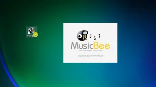 MusicBee Find and Remove Duplicate Songs in Windows 11