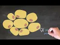 Summary - CELL NUCLEUS
