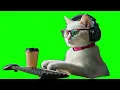 Cat typing keyboard Green Screen Meme