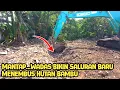 Ini Baru Mantap || Wadas Bikin Saluran Baru || Untuk Menghindari Banjir || Normalisasi Kali
