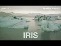 Download Lagu IRIS (Cinematic Cover) - Tommee Profitt \u0026 Ruelle