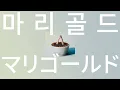 구름같은 다정함으로 안아줄게🌼: 아이묭 - 마리골드(marigold) [가사/발음/해석]