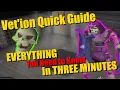 Vet ion in THREE Minutes - A Quick Boss Guide