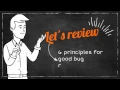 principles of good bug reporting