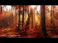 Taylor Swift - All Too Well Outro (Wind In My Hair) 1 HOUR LOOP