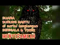 Download Lagu TERBARU❗ SUARA BURUNG HANTU PALING SERAM DISERTAI LONGLONGAN SERIGALA DAN TOKEK || jgn nntn sndirian