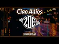 DJ Ciao Adios Terbaru 2023 DJ Viral Tiktok Anne Marie - Zoe Remix