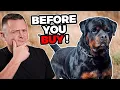 Is the ROTTWEILER Right For You