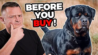 Is the ROTTWEILER Right For You