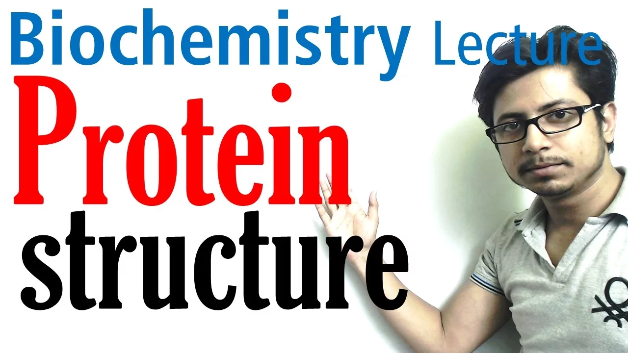 Protein structure | primary secondary tertiary and quaternary structure of protein