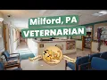 Veterinarian Milford PA