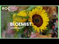 Download Lagu #beroepenclips | Werken als bloemist, hoe zit dat eigenlijk? 🌼 | ROC Nederland