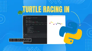 Python Beginner Project Tutorial - 10 Turtles are racing