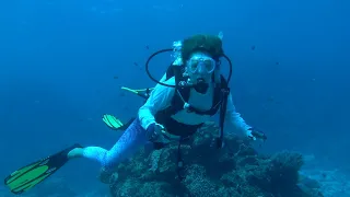 Sailing Fiji – drift dive over 2000m drop off. More hunter gathering, a bit of bird watching…Ep34