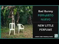 Download Lagu Bad Bunny - PERFuMITO NUEVO Lyrics English Translation - ft RaiNao - Spanish and English