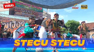 stecu stecu lagu viral cover new wijoyo putro ft pelangi audio sumberkepuh live sukomoro nganjuk