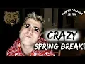 What s Spring Break Like at UCLA