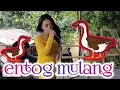 Download Lagu Entog Mulang medley