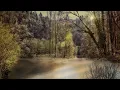 Johannes Bornlof - Ethos | Beautiful Choir Dreamy Music, Classic Music, Orchestral Music