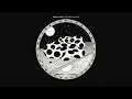 Modest Mouse - Impossible Somedays (Official Audio)