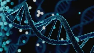 How to easily manipulate DNA sequences in Python using complement reverse - complement menthod