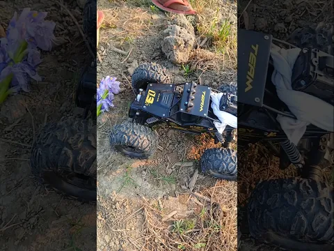 মোটর কারের ফুল এন্টারটেইনমেন্ট দেখতে থাকো বন্ধুরা আমার #best #funny #shorts #reels