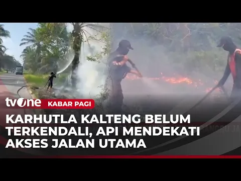 Sulit Dipadamkan, Karhutla Kepung Kalimantan Tengah