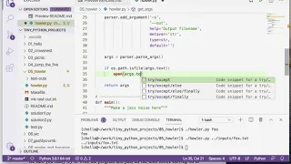 Tiny Python Projects Ch 5 Pt 4 Getting started writing