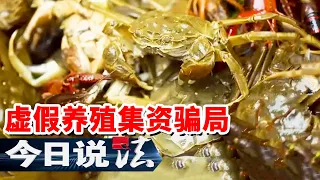 《今日说法》月息比银行还高！实地考察过的养殖项目是如何套走老人养老钱的？ 20260909 | 今日法案