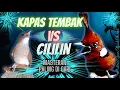 KAPAS TEMBAK VS CILILIN // MASTERAN PALING DI CARI