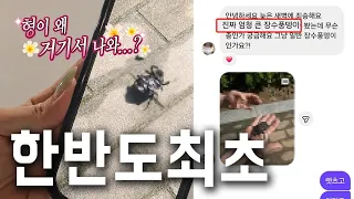 한반도 역사상 최초발견!! 이거 무조건 대박입니다. 구독자 DM중에 역대급 제보가 왔는데....