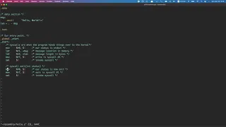 hello world in assembly on arm 32 raspberry pi