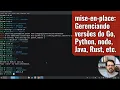 Managing versions of Python Node js Java Go Rust and Ruby with mise-en-place