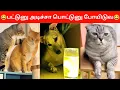 Download Lagu 😂🐕🐈பாத்தியா!என்ன டா மினு மினு nu சூப்பர் ah இருக்கு😂🐕🐈#viral #trending #comedy #funnyanimalvideos