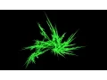 Nice Graphical effect with Barnsley Fern Fractal algorithm N 3 python with source code