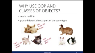 9 Python Classes and Inheritance