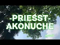 <span style="color:#3D90F0;font-weight:bold;font-style:italic">Priesst</span> - <span style="color:#3D90F0;font-weight:bold;font-style:italic">Akonuche</span> (Lyrics Video)