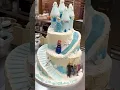 Frozen cake part 1