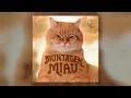 Montagem Miau