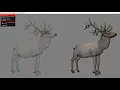 Vulkan API Discussion Computer Graphics Examples Cuda Education