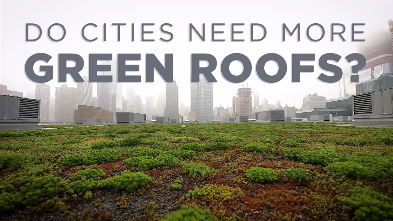 Urban Green Roofs: A Sustainable Solution for City Challenges