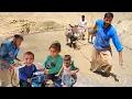 Download Lagu With Two Donkeys and a Determined Heart: Saladin Continues the Rice Fields Without Fatemeh 🐾🌾💪\